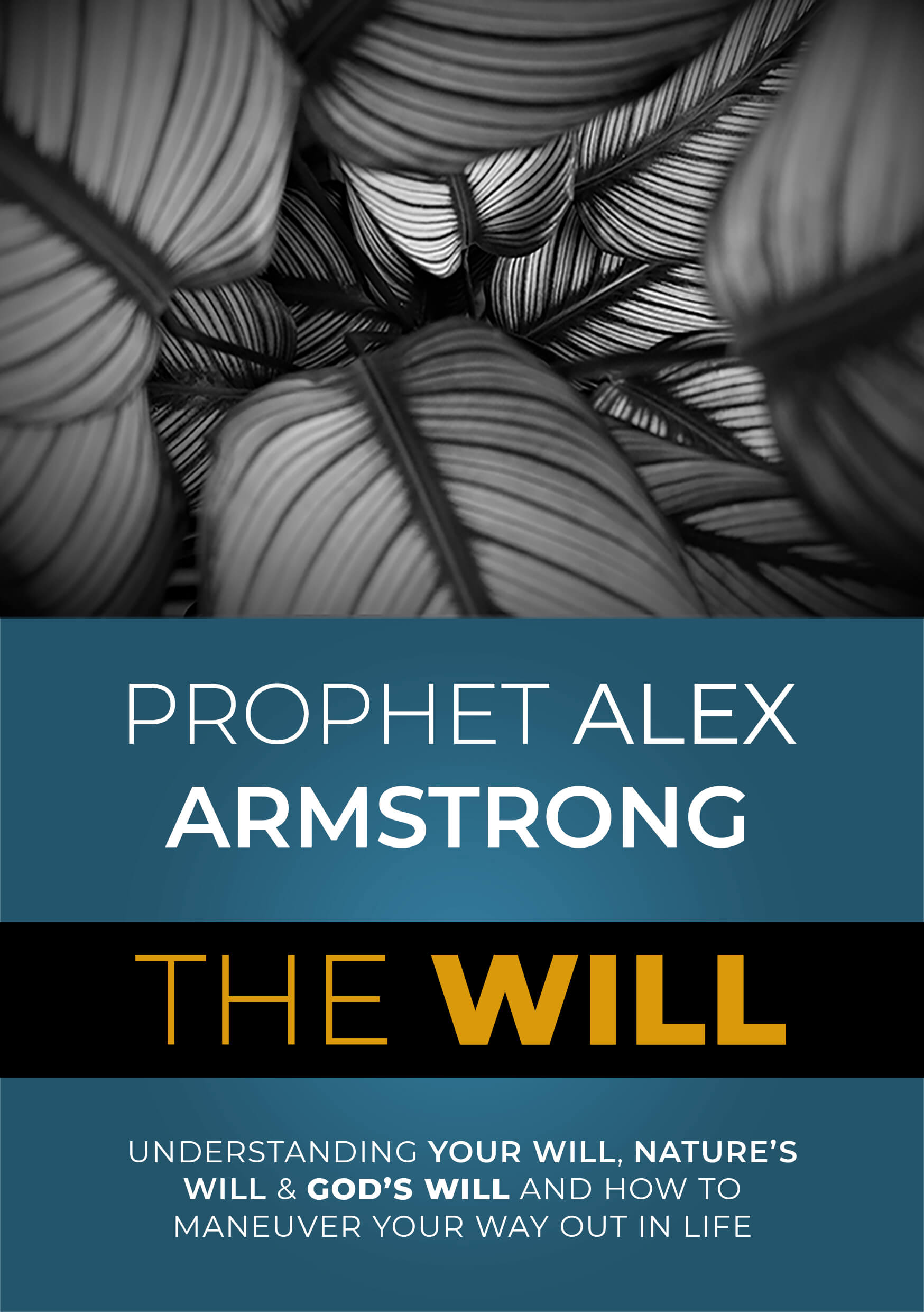 The Will, a book by Prophet Alex Armstrong